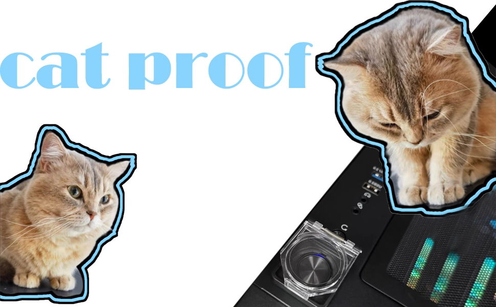 cat proof